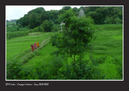 India Campagne Indiane